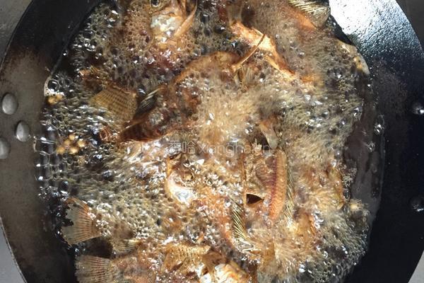 极品香酥鱼的做法图解4