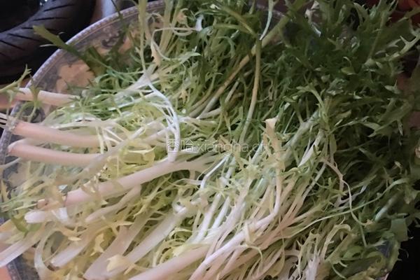 凉拌苦菊菜的做法图解1