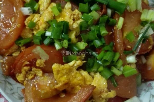 西红柿炒鸡蛋