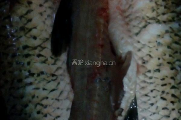 酸菜鱼的做法图解1