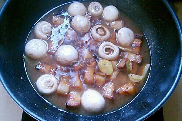 美味红烧肉的做法图解12