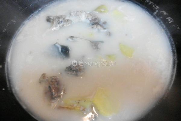 鱼头土豆养生汤的做法图解8