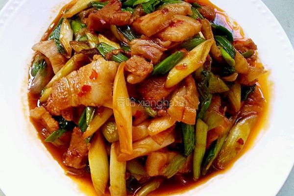 回锅肉的做法图解8