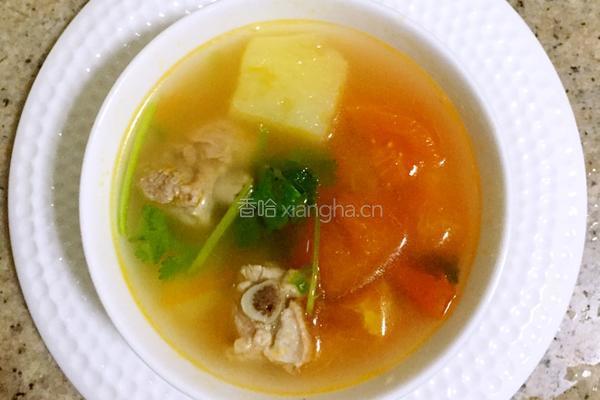 土豆番茄排骨汤的做法图解5