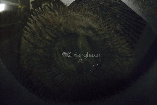 丝瓜黑木耳汤的做法图解4