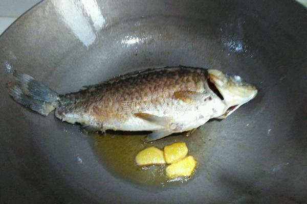 鲫鱼豆腐汤的做法图解2
