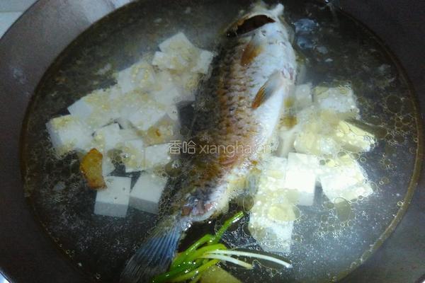 鲫鱼豆腐汤的做法图解3