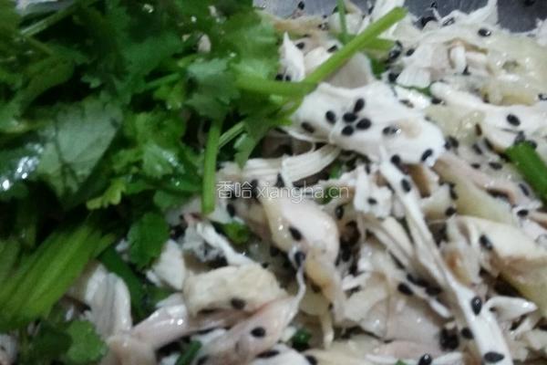 手撕鸡