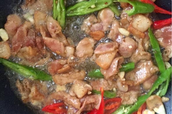 土猪肉炒白菜的做法图解5