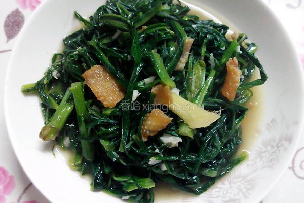 苦麦菜猪肉汤的做法图解10