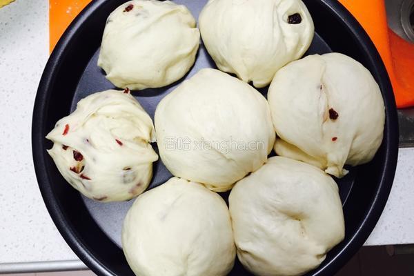 蔓越莓乳酪牛奶小面包的做法图解2