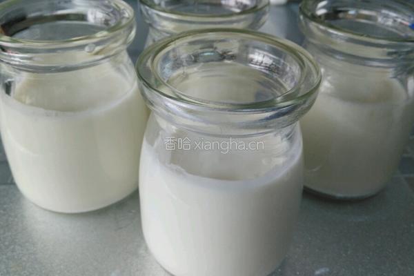 樱花布丁的做法图解4