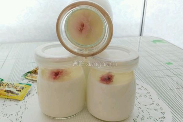 樱花布丁的做法图解7