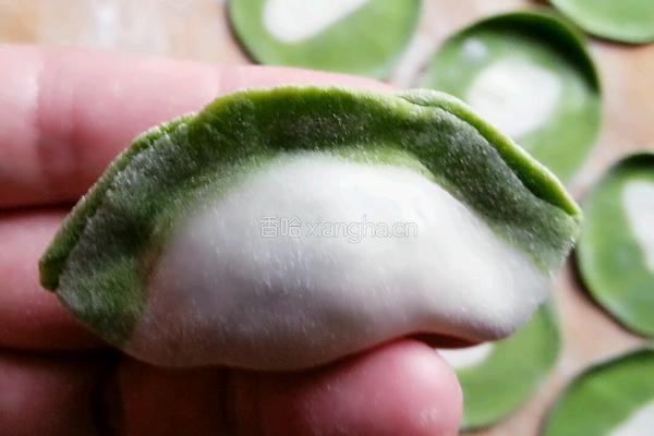 白菜（百财）饺子的做法图解16