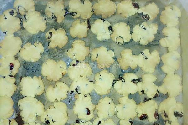 蔓越莓玛格丽特的做法图解16