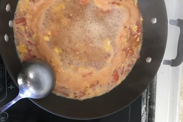 番茄鸡蛋面的做法图解6