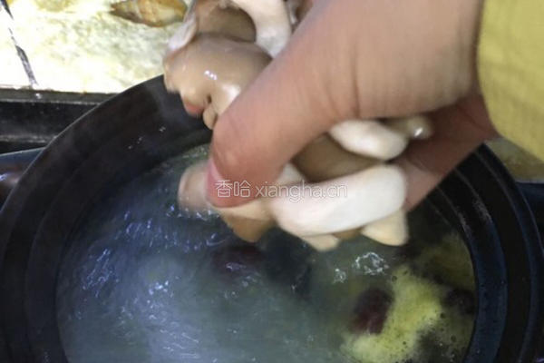 猪脚菌菇汤的做法图解14