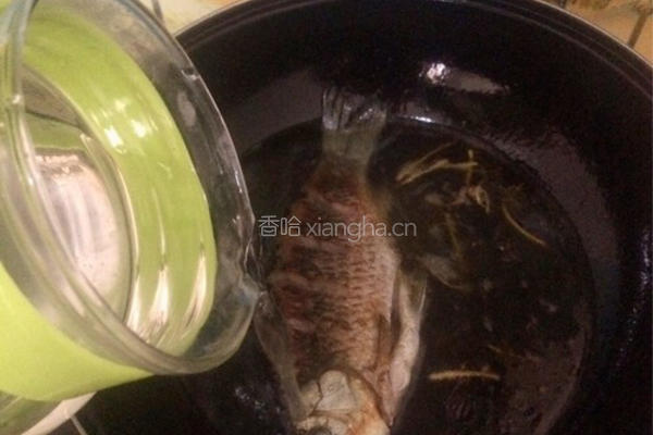 萝卜鲫鱼汤的做法图解6