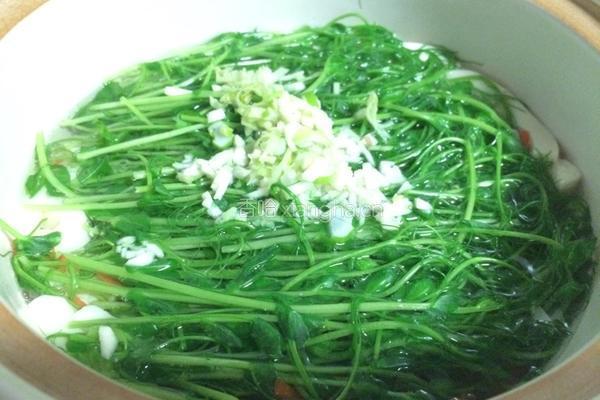 清清白白——豌豆苗豆腐汤的做法图解6