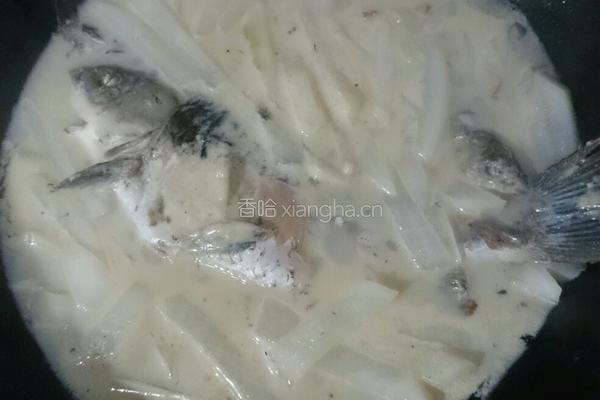 萝卜丝鲫鱼汤的做法图解5