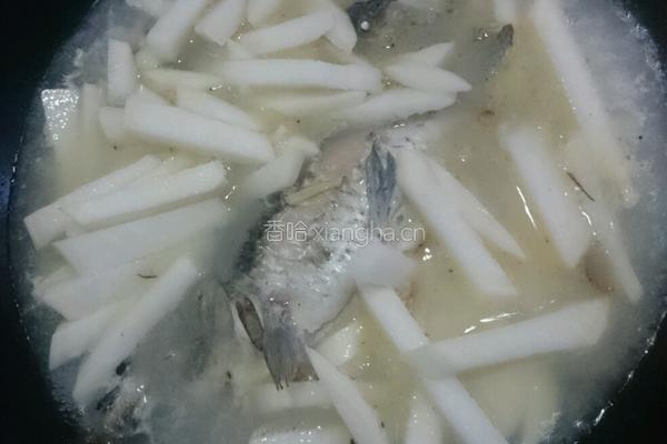 萝卜丝鲫鱼汤的做法图解4