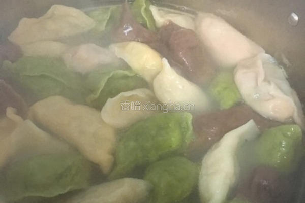 彩色饺子的做法图解14