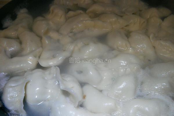 荠菜虾仁饺的做法图解7
