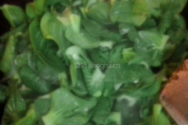 蚝油白菜的做法图解4