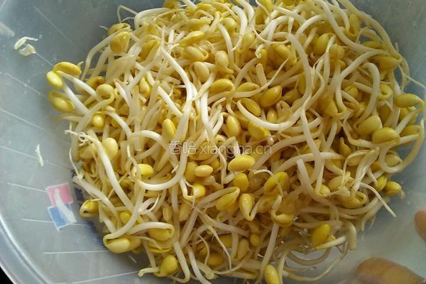 豆芽炒肉丝的做法图解1