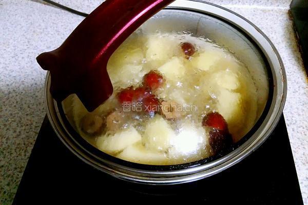 红枣枸杞苹果汤的做法图解3