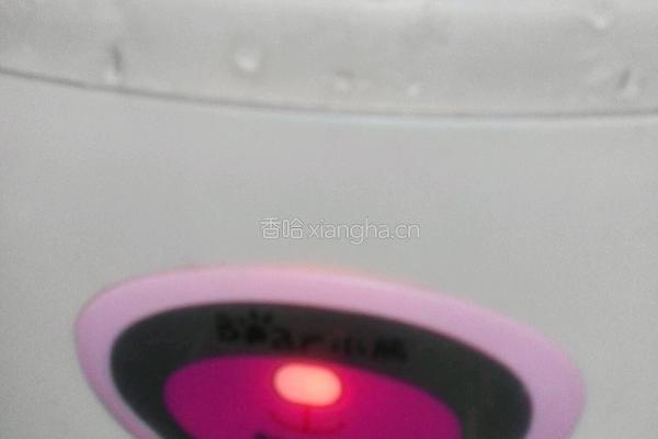 纯手工酸奶的做法图解4