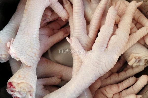 泡椒鸡爪的做法图解1