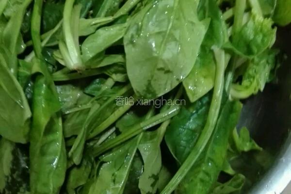 虾仁菠菜粥的做法图解1