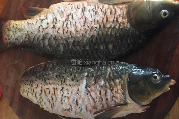 豆豉垛椒鱼的做法图解2