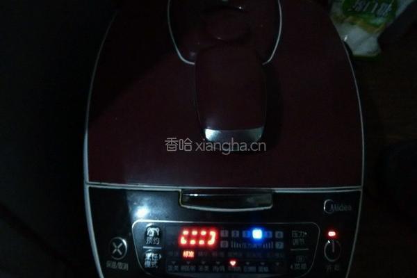羊排炖土豆的做法图解6