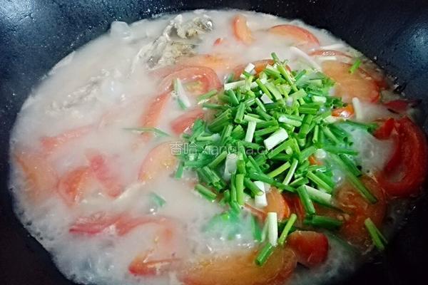 番茄鲫鱼汤的做法图解7