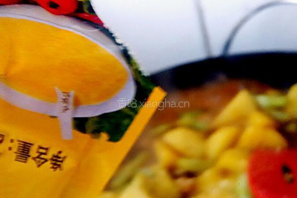 东北炖菜芸豆炖土豆的做法图解13