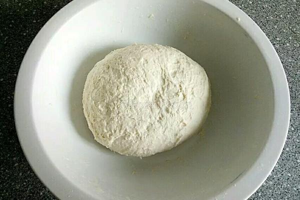 白菜饺子的做法图解2