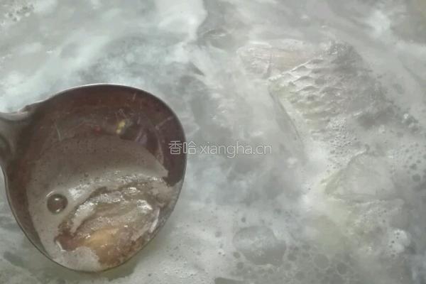 砂锅鲫鱼汤的做法图解10