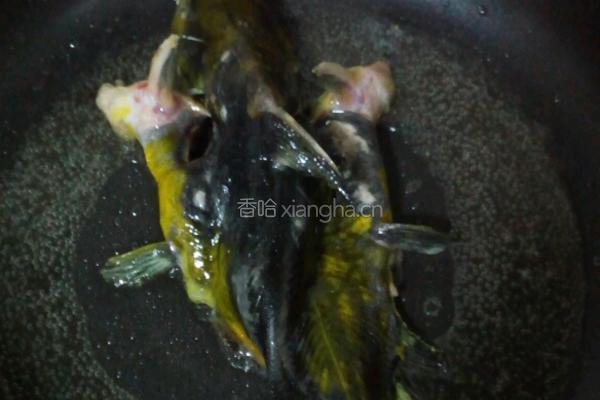嘎鱼水中游的做法图解2