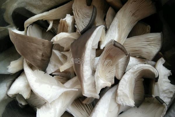 酥炸蘑菇的做法图解2