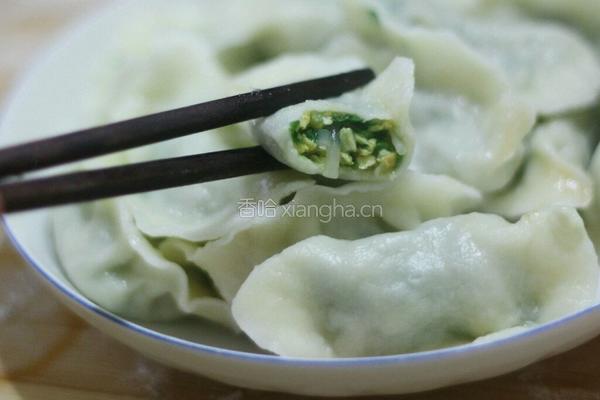 韭菜鸡蛋馅饺子的做法图解8