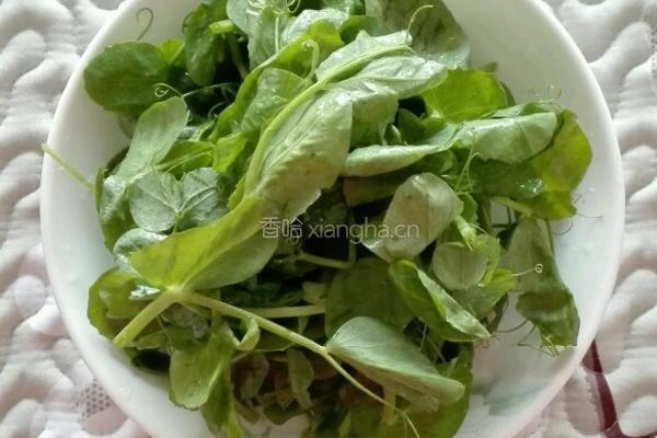 豌豆尖粉丝汤的做法图解3