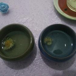 蜂蜜菊花茶的做法[图]