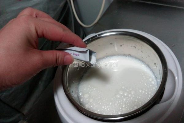 自制大果粒酸奶的做法图解3