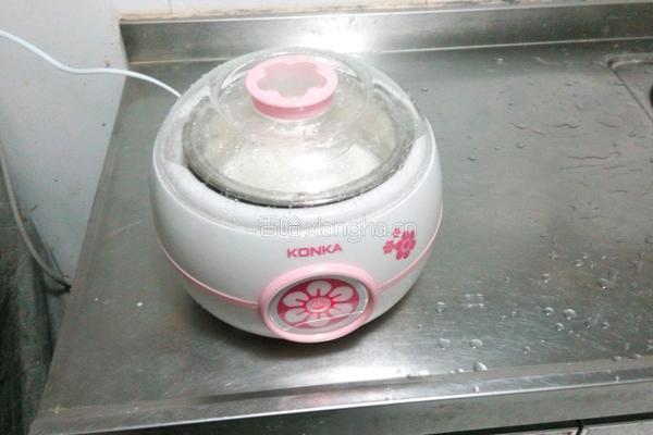 自制大果粒酸奶的做法图解4