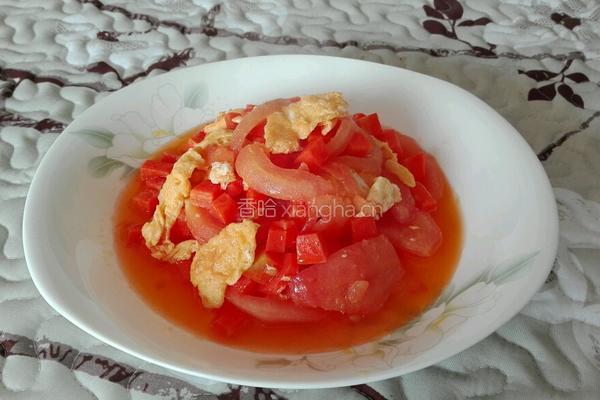 胡萝卜番茄炒鸡蛋的做法图解10