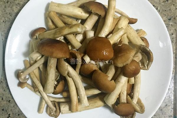 茶树菇炒肉片的做法图解1
