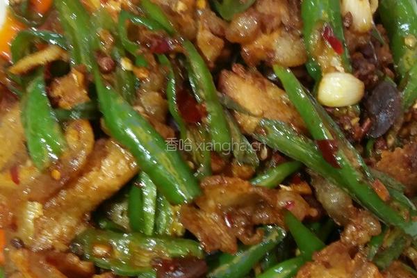 尖椒回锅肉的做法图解11