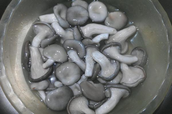 平菇炒肉的做法图解4